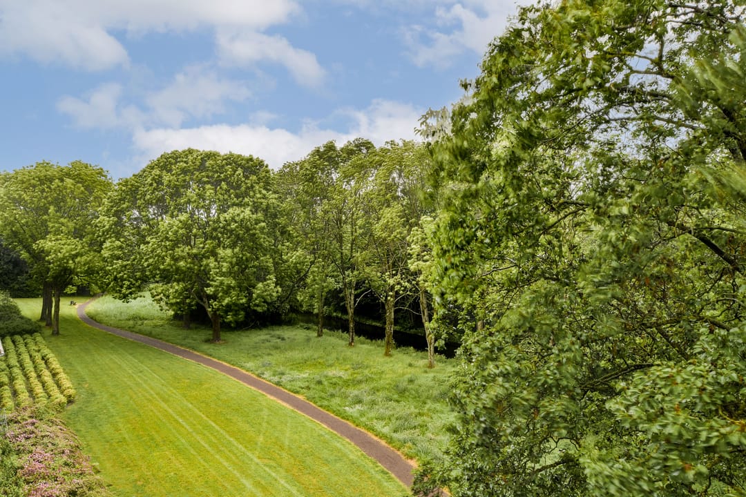 Photo 7 of Spurgeonlaan 146