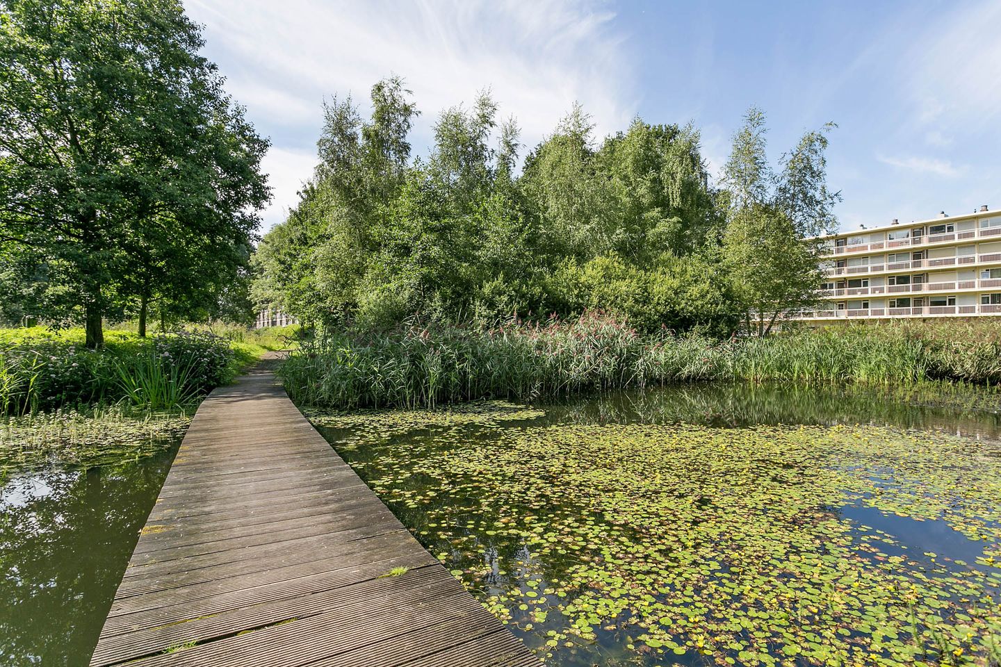 Photo 25 of Spurgeonlaan 146