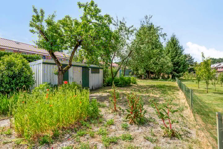 Foto 32 van Narcissenstraat 17