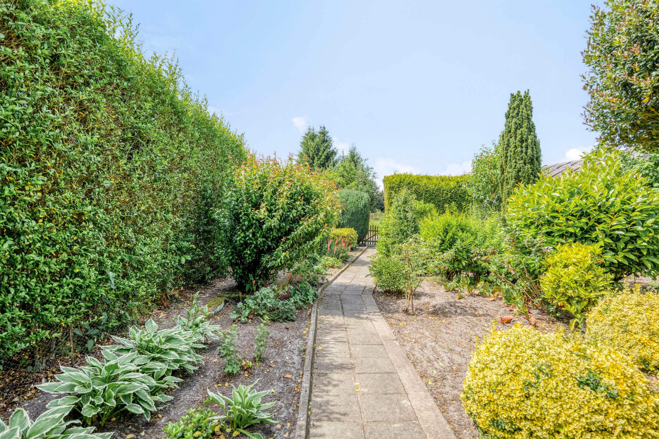 Foto 33 van Narcissenstraat 17