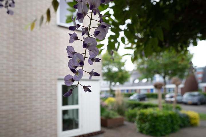 Foto 11 van Oldambtlaan 18