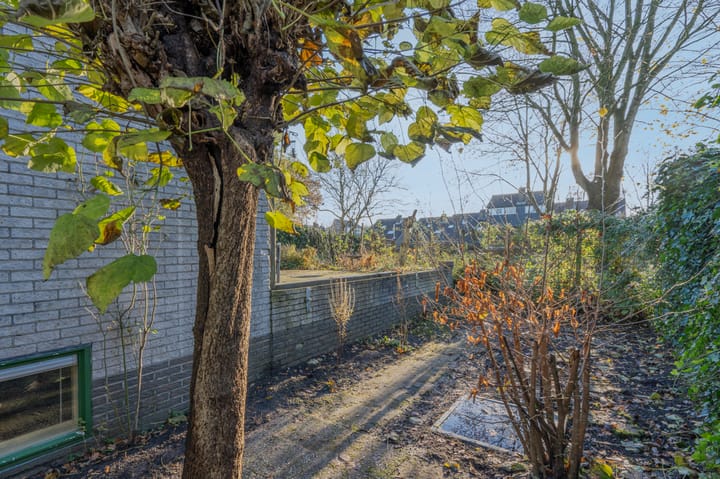 Foto 37 van De Wouden 27