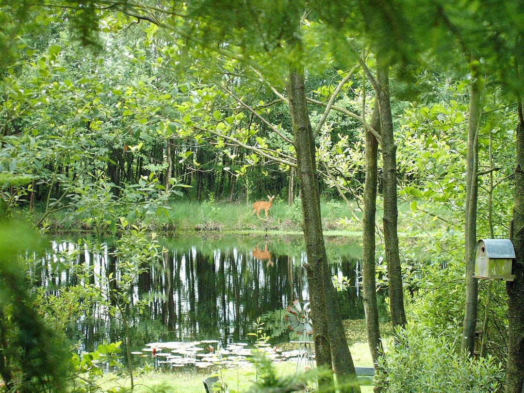 Photo 32 of Scheibaan 17-17