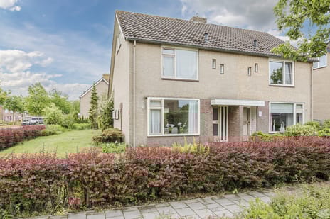 undefined main image