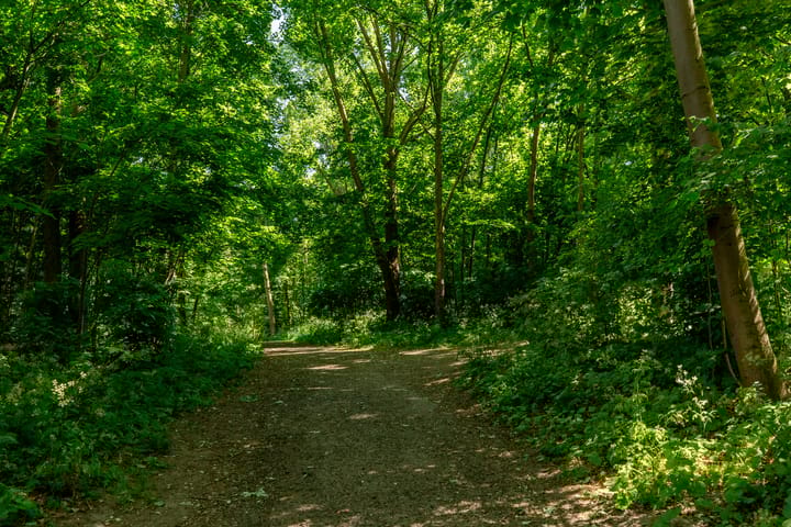 Foto 48 van Westerflierstraat 9