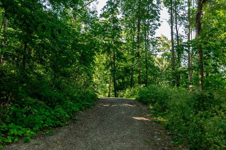 Foto 49 van Westerflierstraat 9