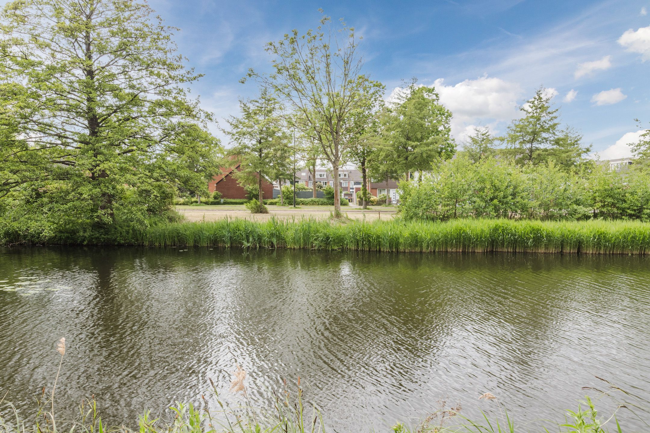 Foto 36 van Koraal 102