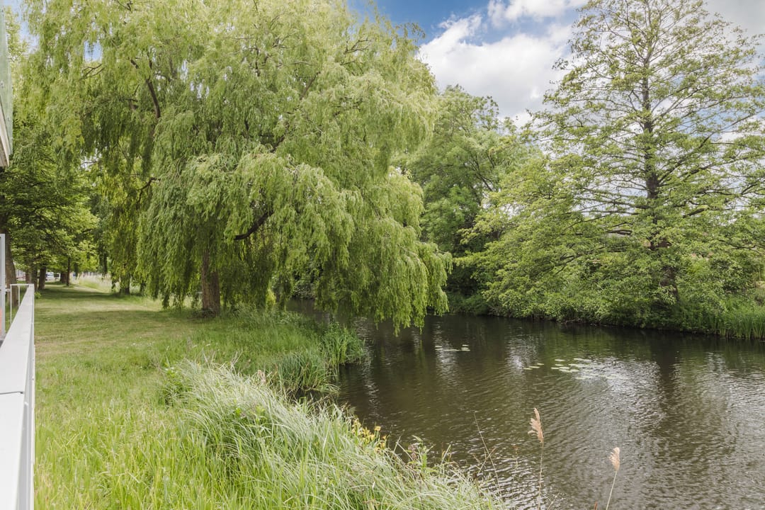 Foto 37 van Koraal 102