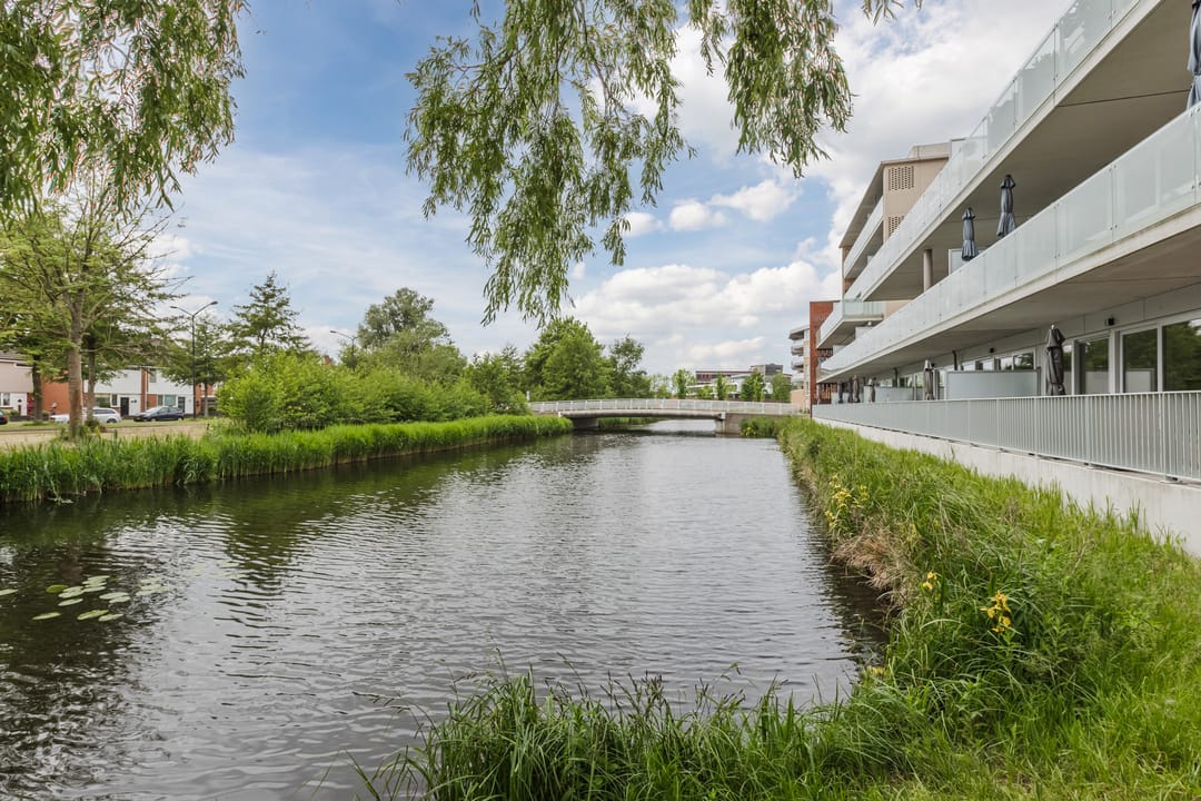 Foto 46 van Koraal 102