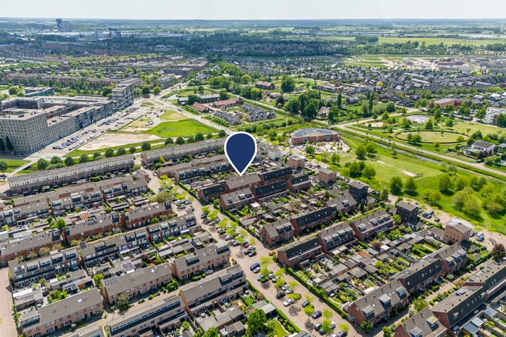 Foto 2 van Rietgras 43