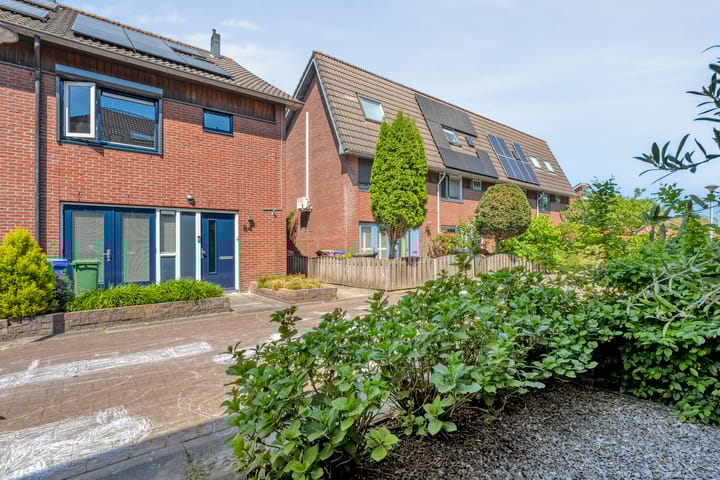 Foto 36 van Rietgras 43