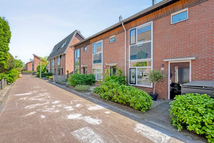 Foto 38 van Rietgras 43