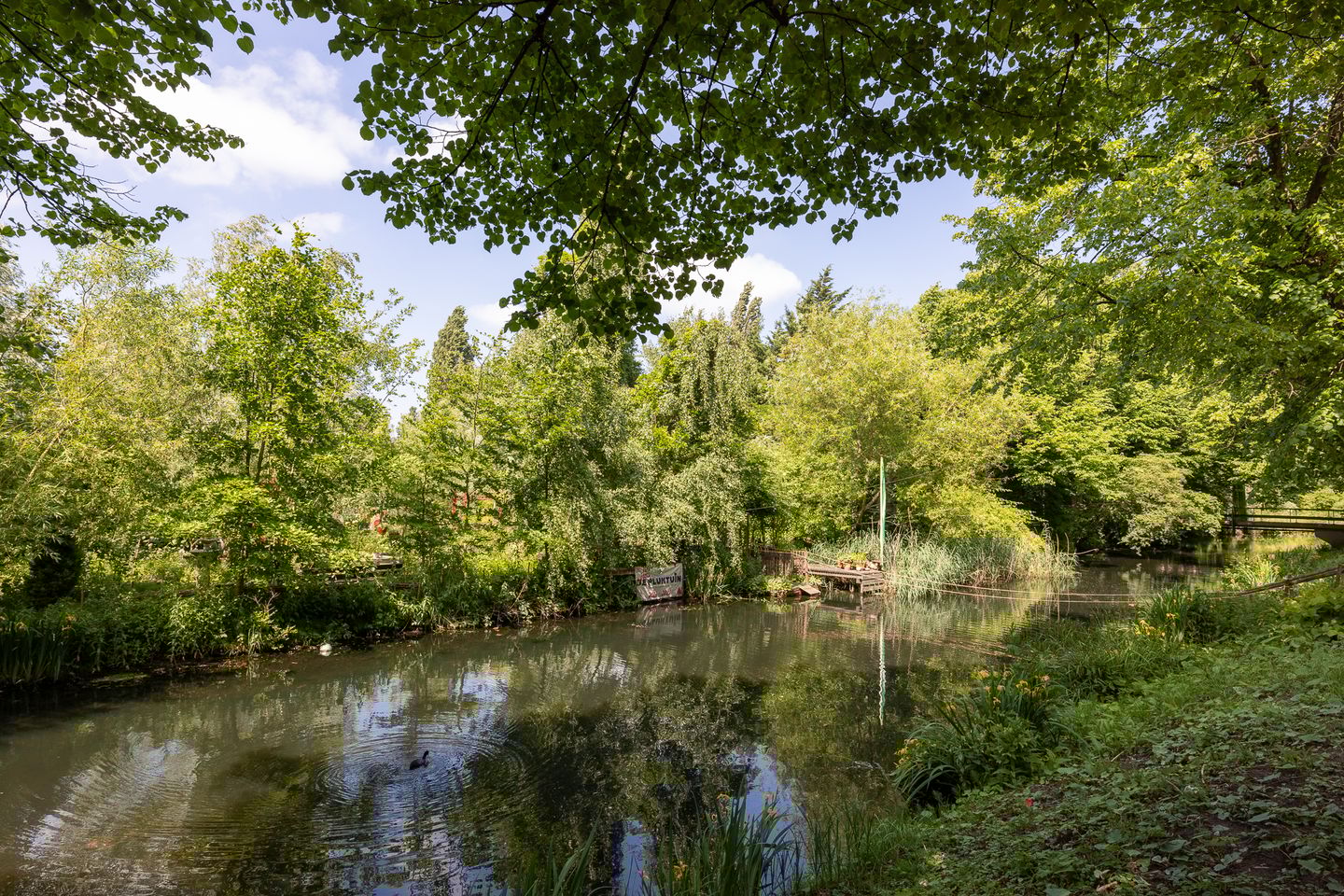 Photo 35 of Essenburgsingel 104-B