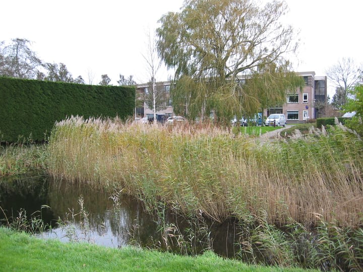 Foto 18 van Nijlân 171