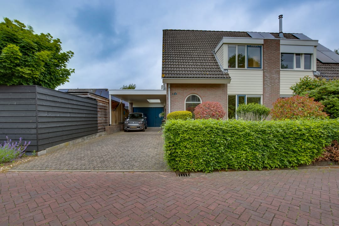 Foto 2 van Kalmoes 1