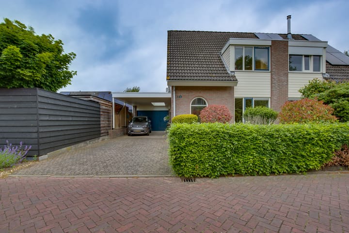 Foto 2 van Kalmoes 1