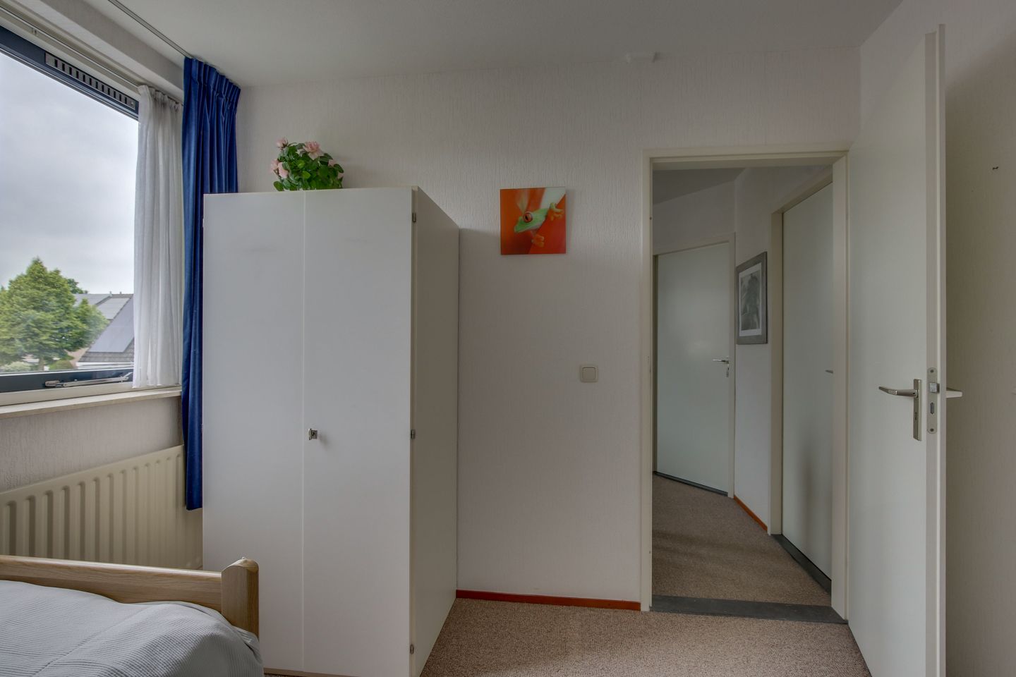 Foto 18 van Kalmoes 1