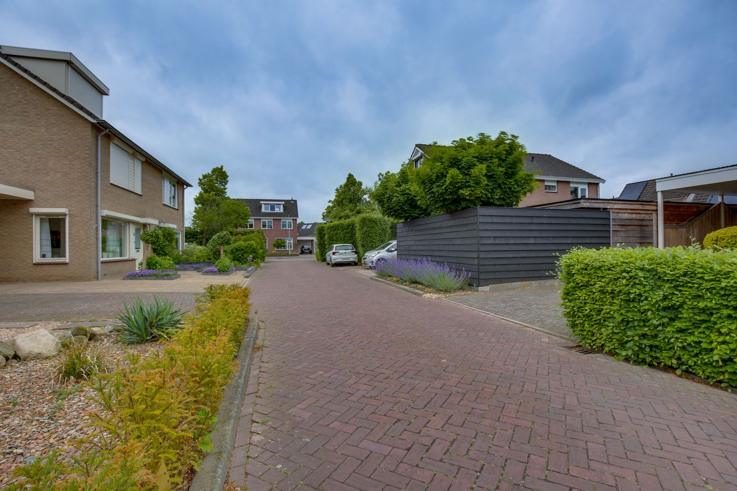 Foto 36 van Kalmoes 1