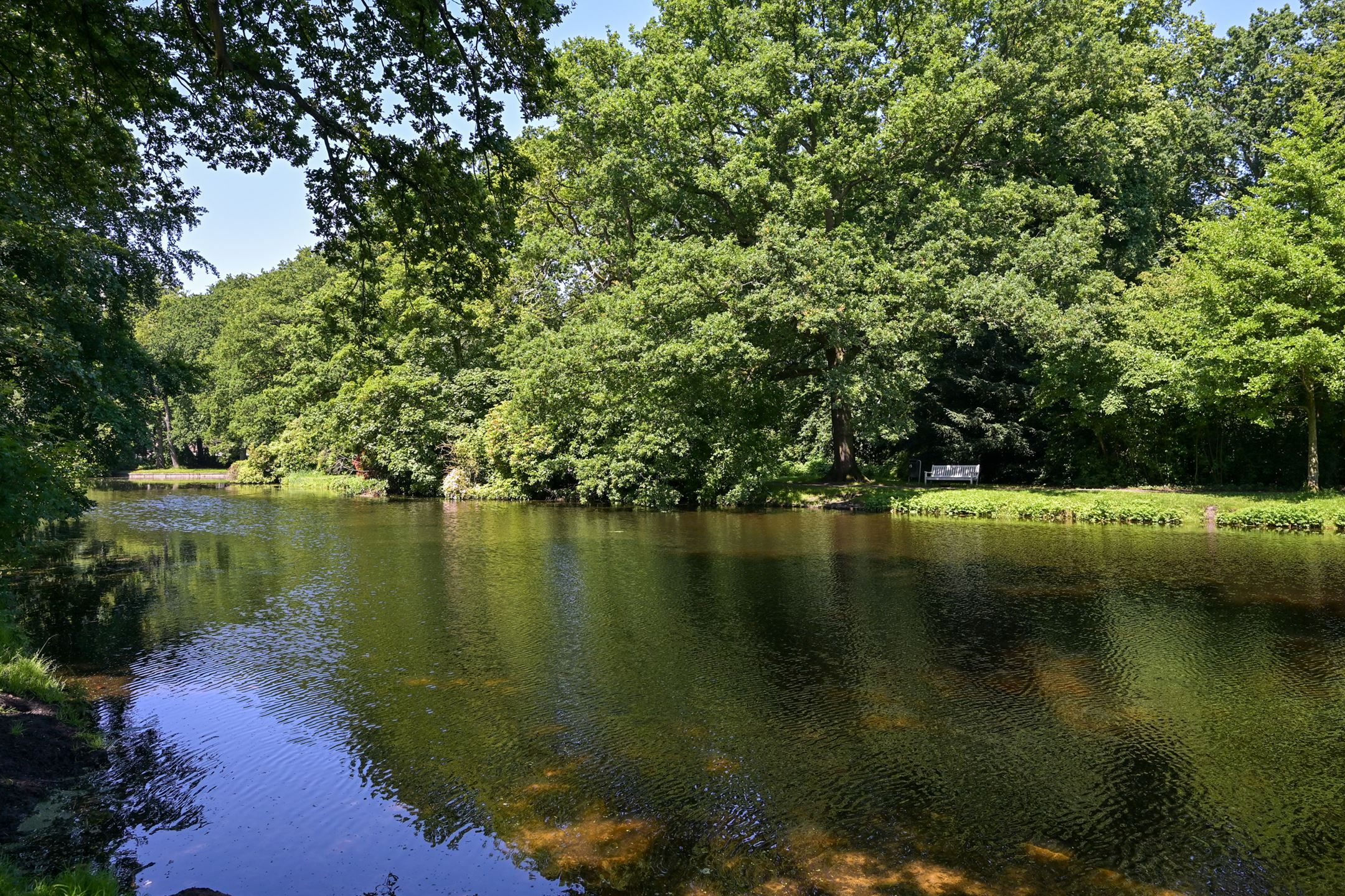 Foto 21 van Akeleistraat 69