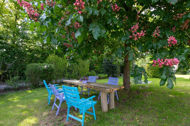 Foto 43 van Hamelbergstraat 4