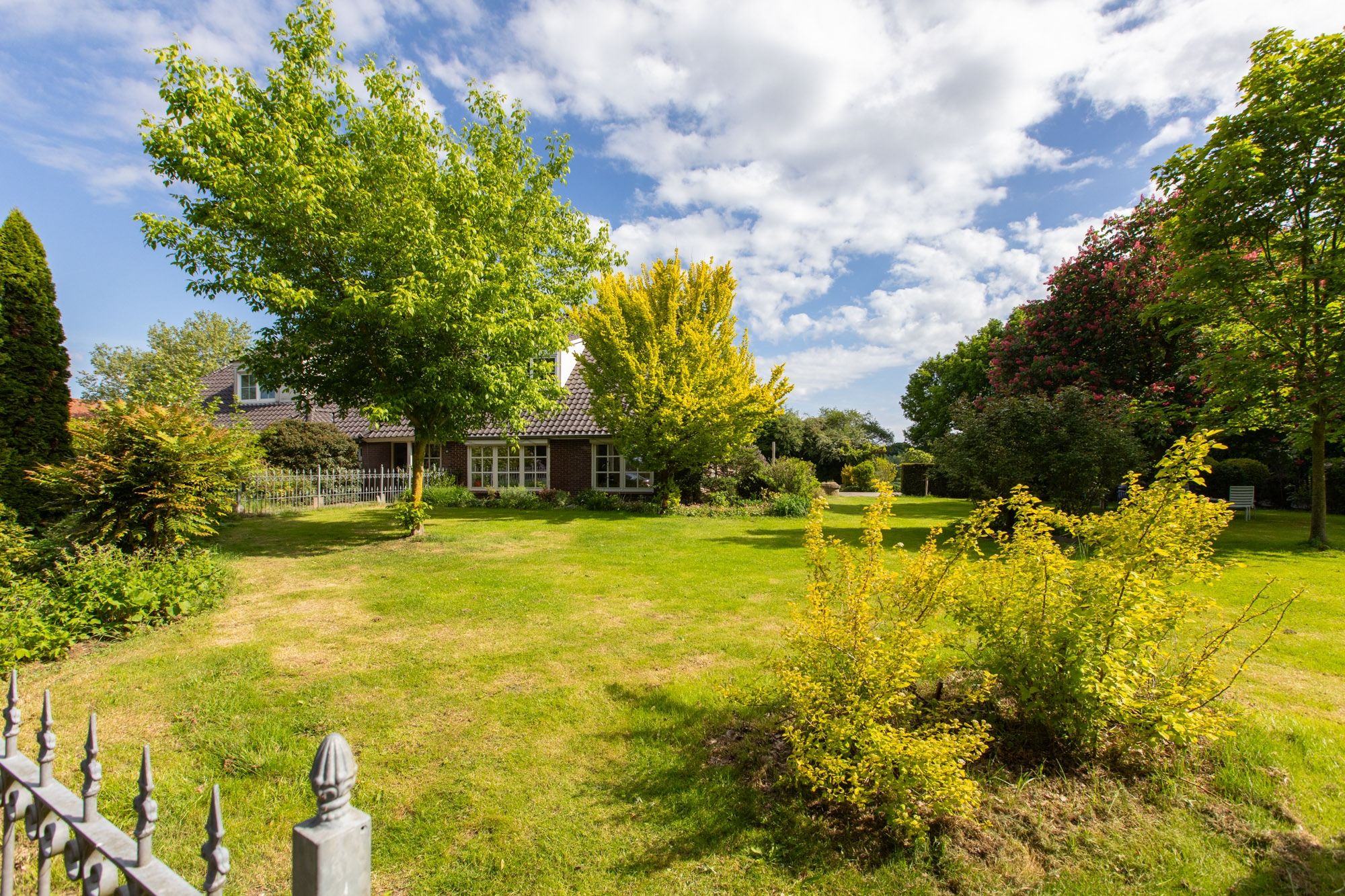 Photo 48 of Hamelbergstraat 4