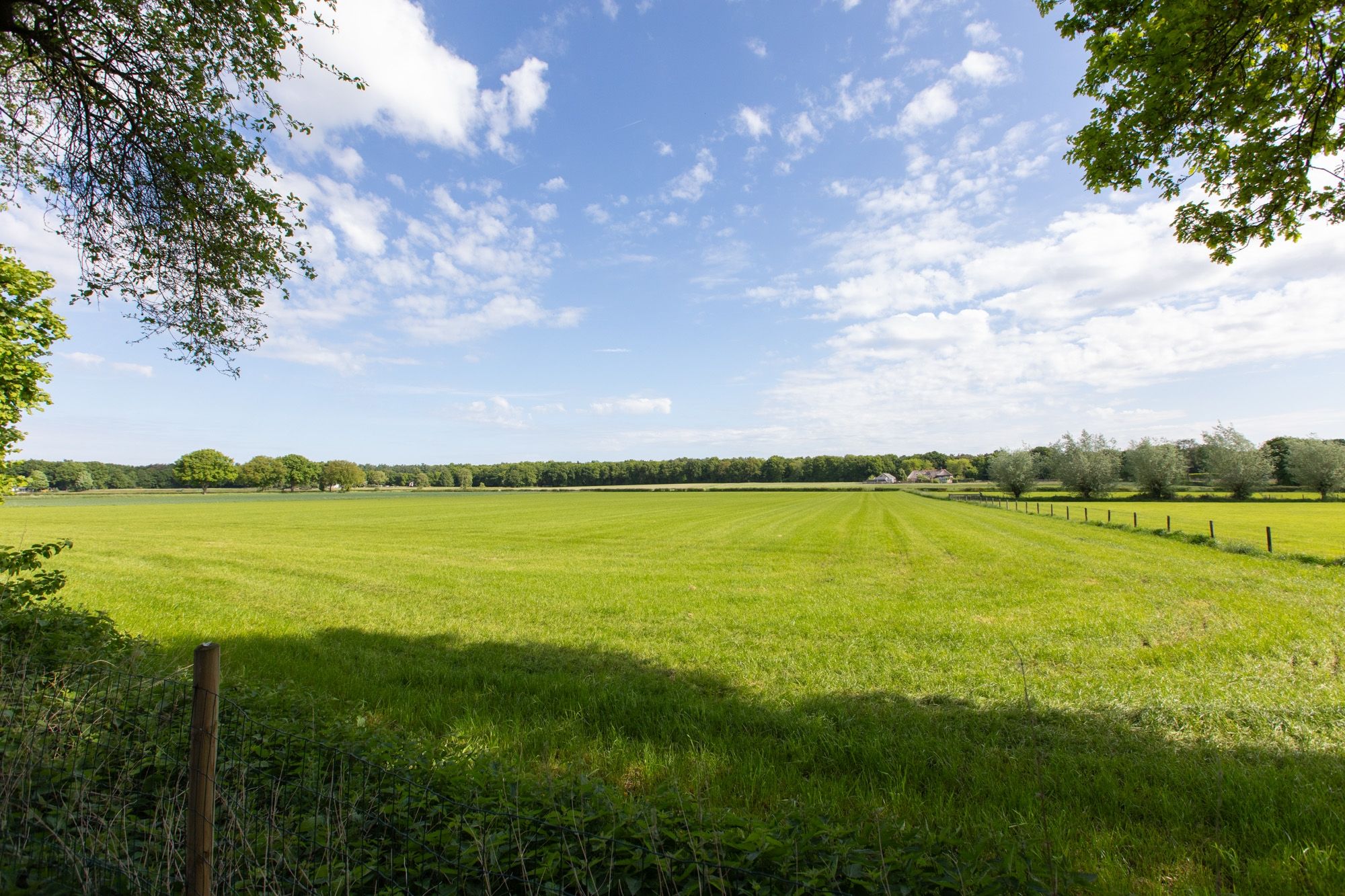 Photo 60 of Hamelbergstraat 4