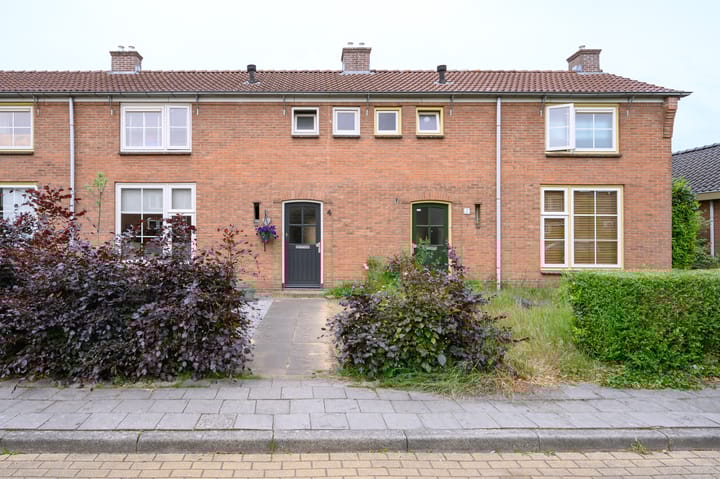 undefined main image