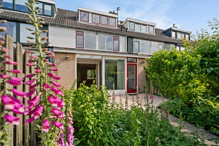 Foto 5 van Hoornklaver 11