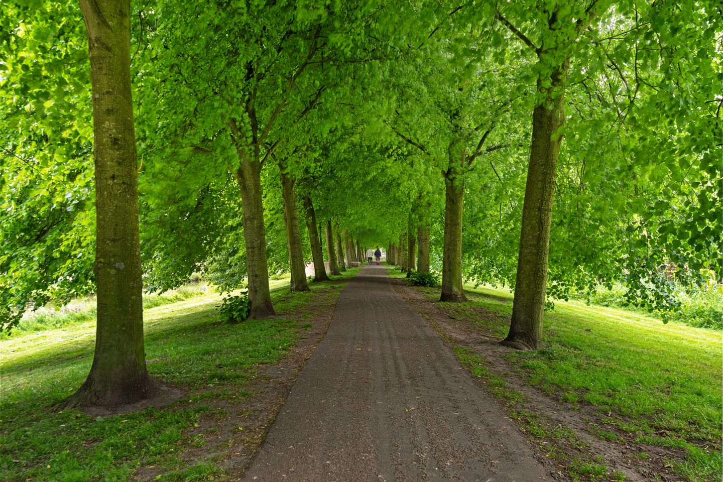 Foto 29 van Ledig Erf 4