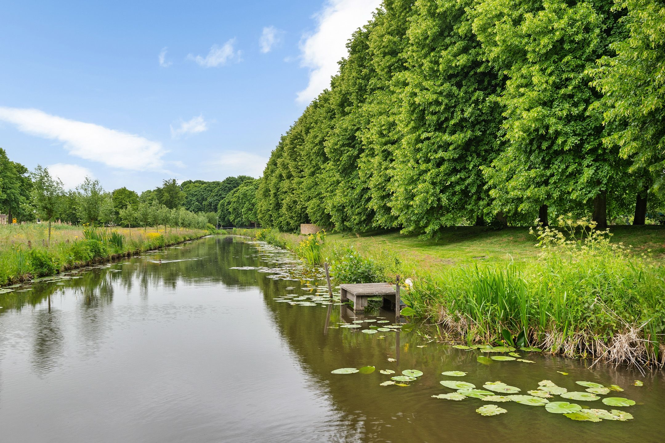 Foto 30 van Ledig Erf 4