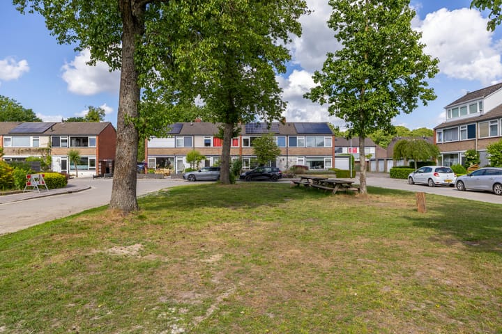 Foto 6 van Elzenhof 13