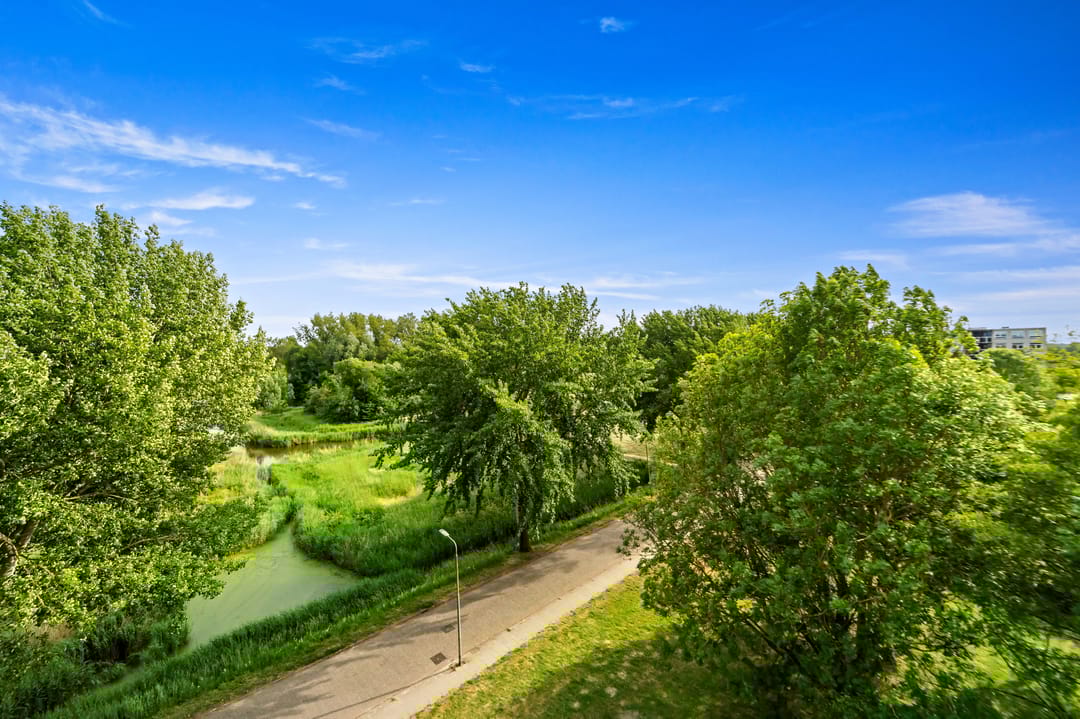 Foto 16 van Arendlaan 52