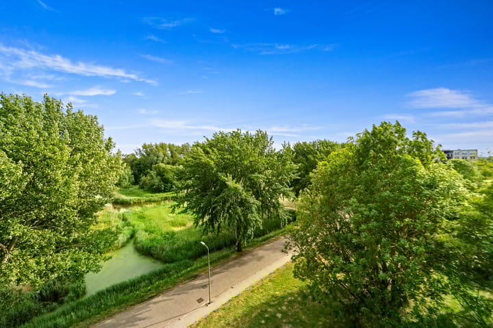 Foto 16 van Arendlaan 52