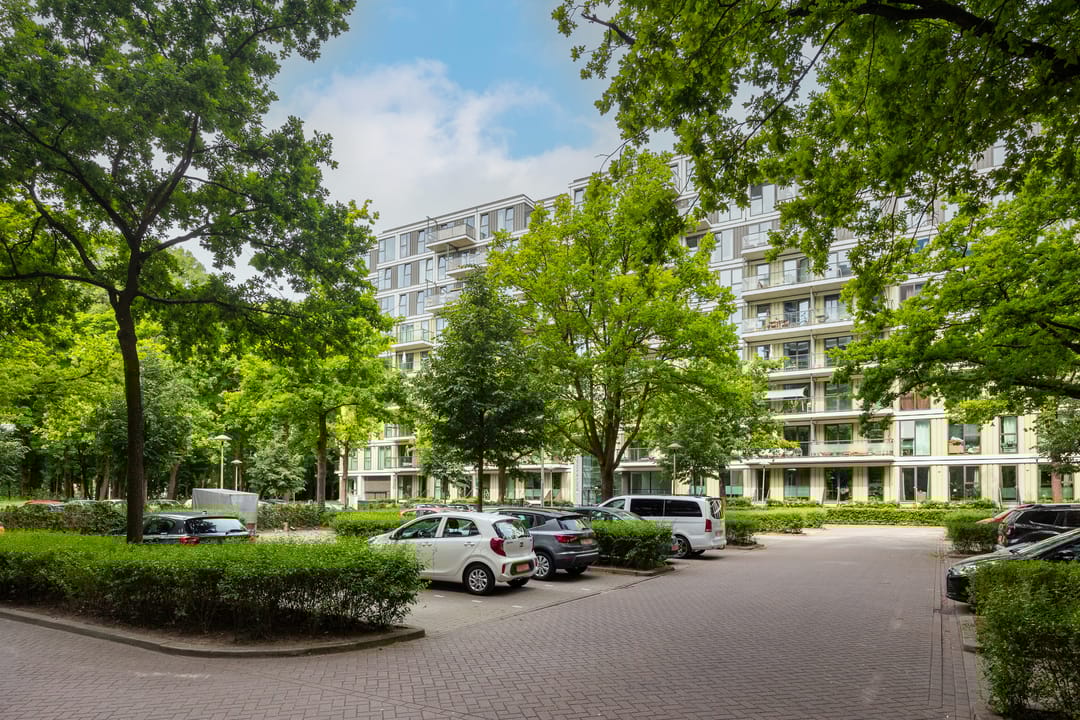 Photo 31 of Rachmaninoffplantsoen 32