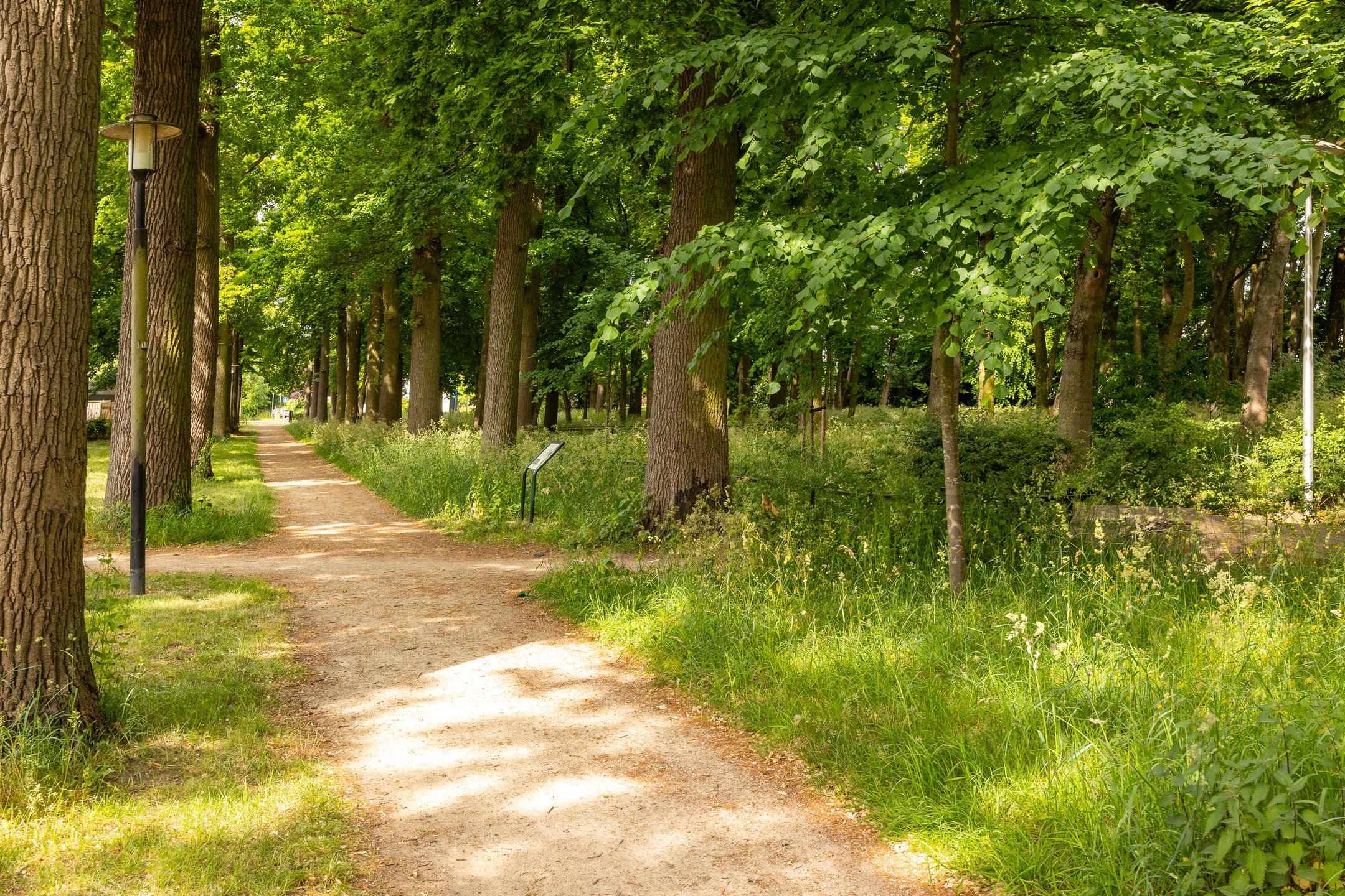 Photo 33 of Rachmaninoffplantsoen 32