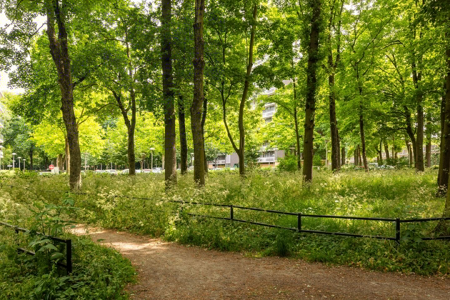 Photo 34 of Rachmaninoffplantsoen 32