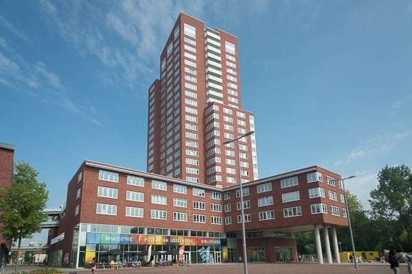 undefined main image