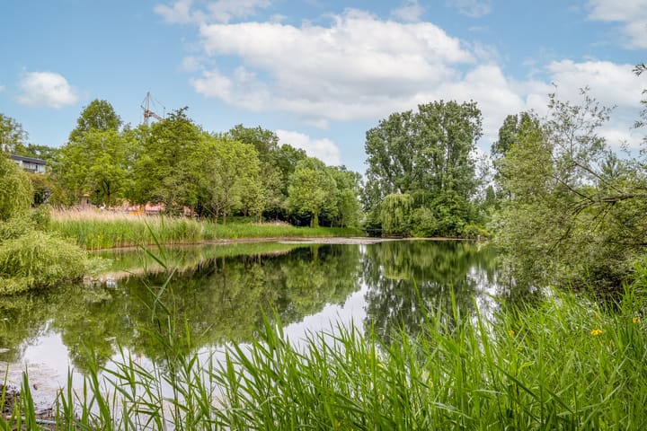 Foto 23 van Lachappellestraat 41