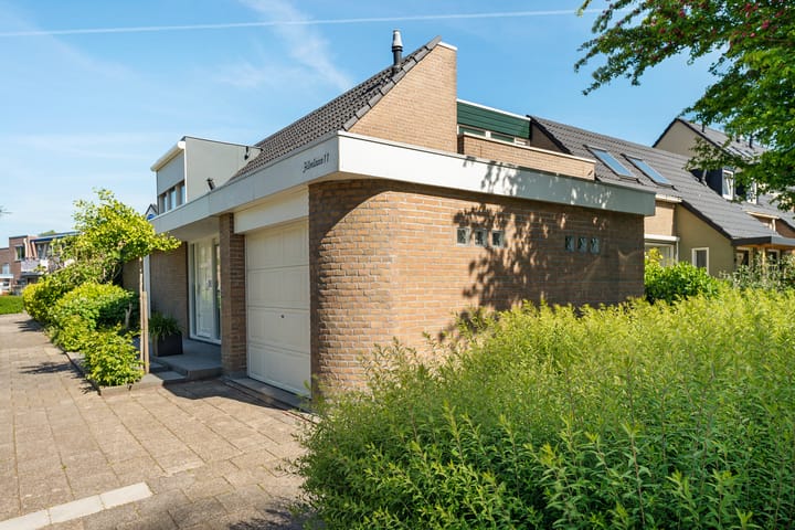 Foto 45 van Filmlaan 11