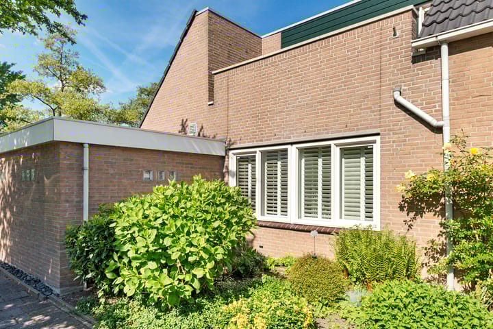 Foto 46 van Filmlaan 11