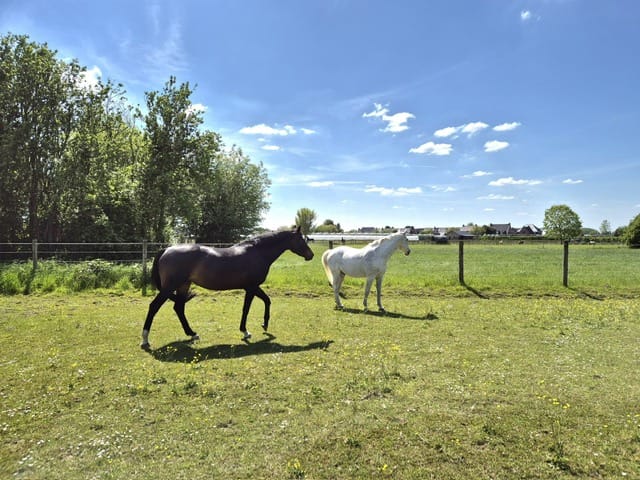 Photo 73 of Buitenweg 49