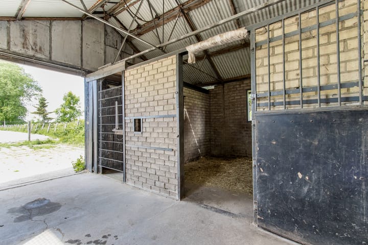 Photo 69 of Buitenweg 49