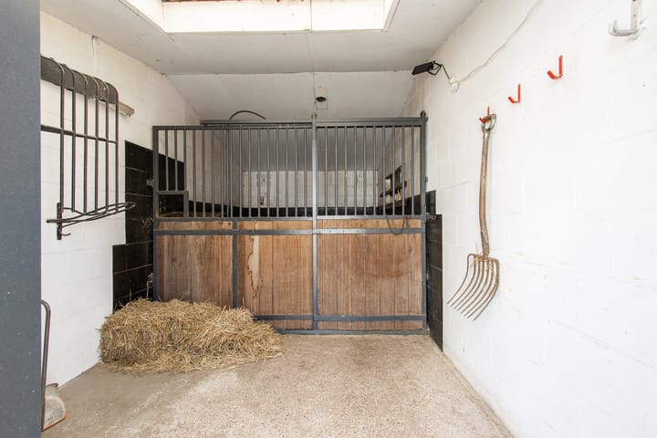 Photo 64 of Buitenweg 49