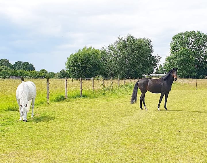 Photo 71 of Buitenweg 49