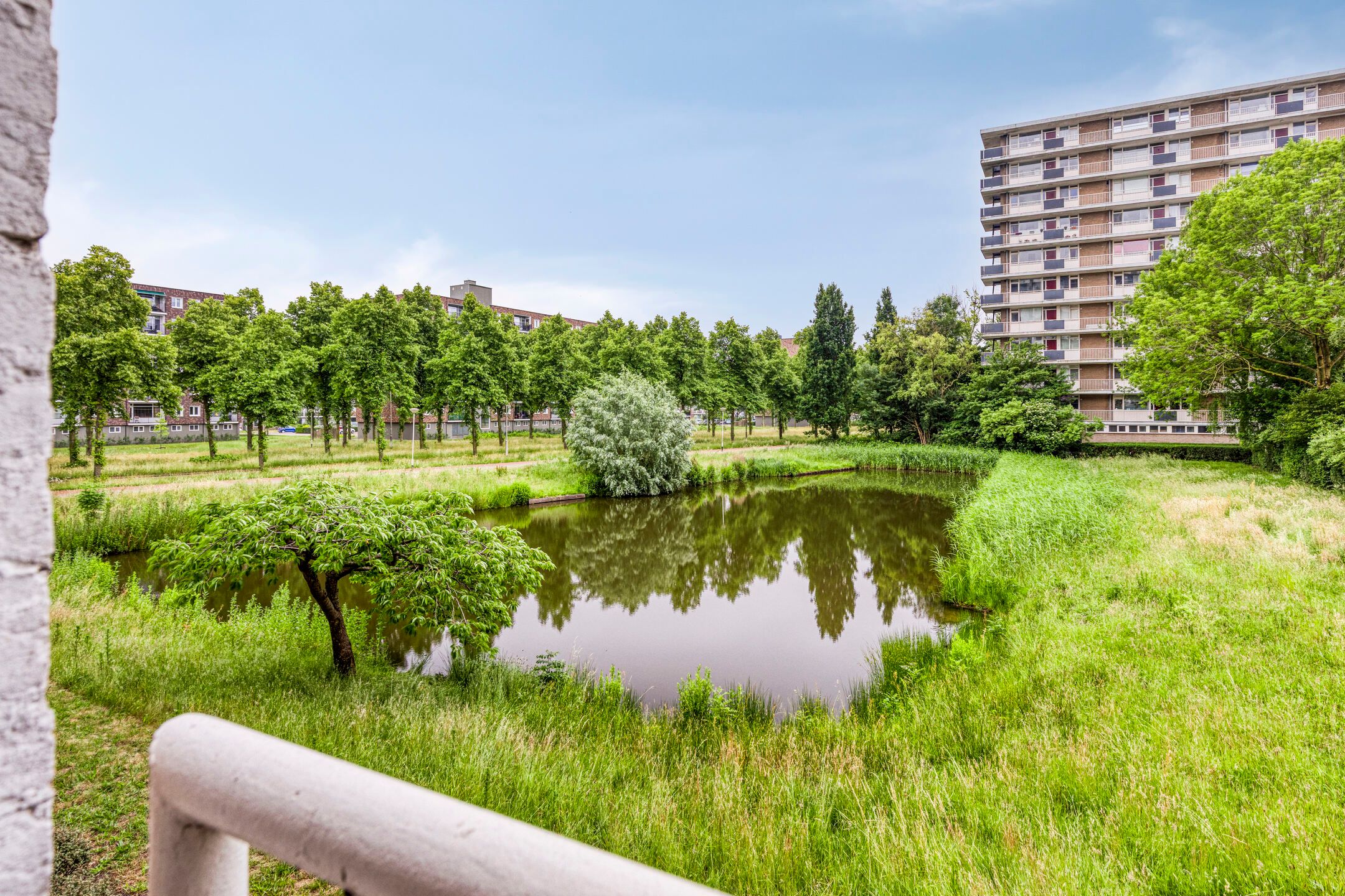 Foto 18 van Antwerpenstraat 440