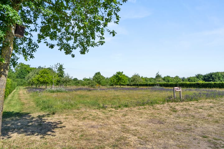 Foto 11 van Hazenhoeve 99