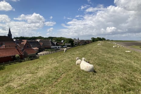 De Buorren 30 tertiary image