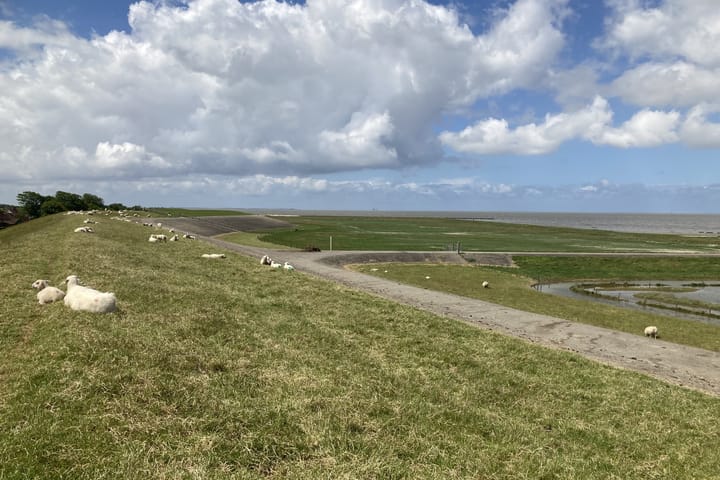 Photo 4 of De Buorren 30