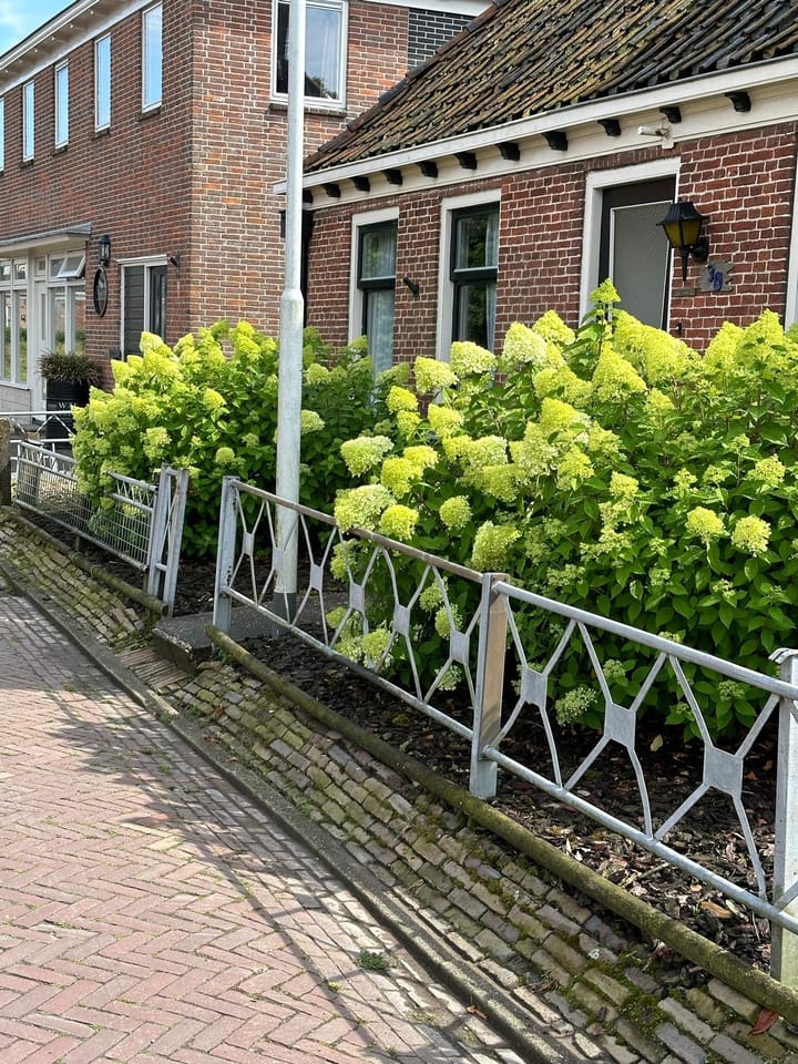 Photo 37 of De Buorren 30