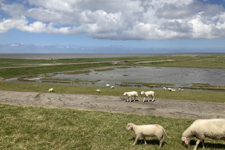 Photo 49 of De Buorren 30